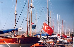 79.jpg  79